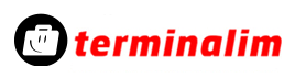 Terminalim